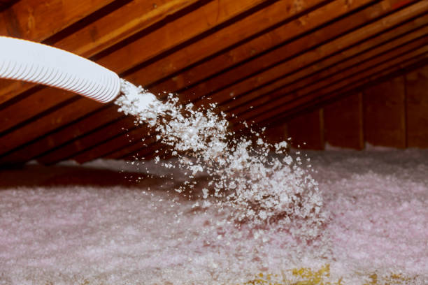 Best Commercial Insulation in Palmyra, WI
