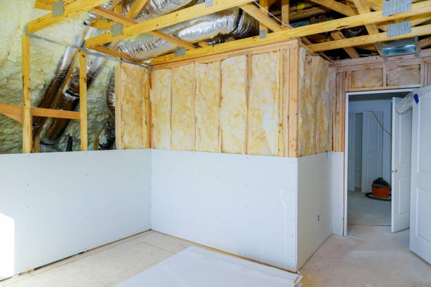Best Specialized Insulation Services in Palmyra, WI
