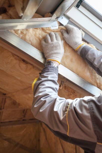 Best Blown-in Insulation in Palmyra, WI