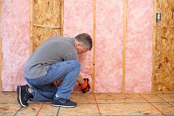 Best DIY Insulation Kits and Guidance in Palmyra, WI